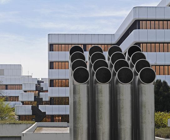 Charakterystyka działalności firmy Sunking