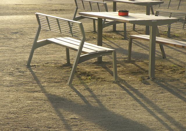 Ogród jak z marzeń – zdecyduj się na zakupy online do ogrodu